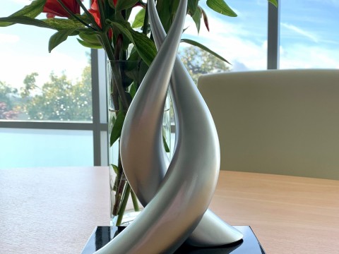 Hospice Waikato wins award at the 2020 Westpac Waikato Business Awards